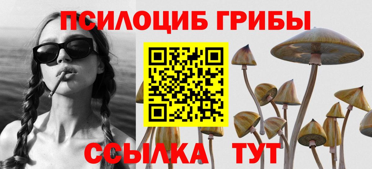 Галлюциногенные грибы GOLDEN TEACHER Бор