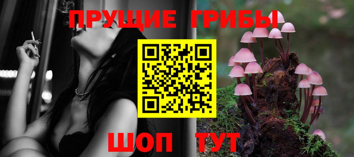 Бор  Галлюциногенные грибы прущие грибы  Вход с VPN 